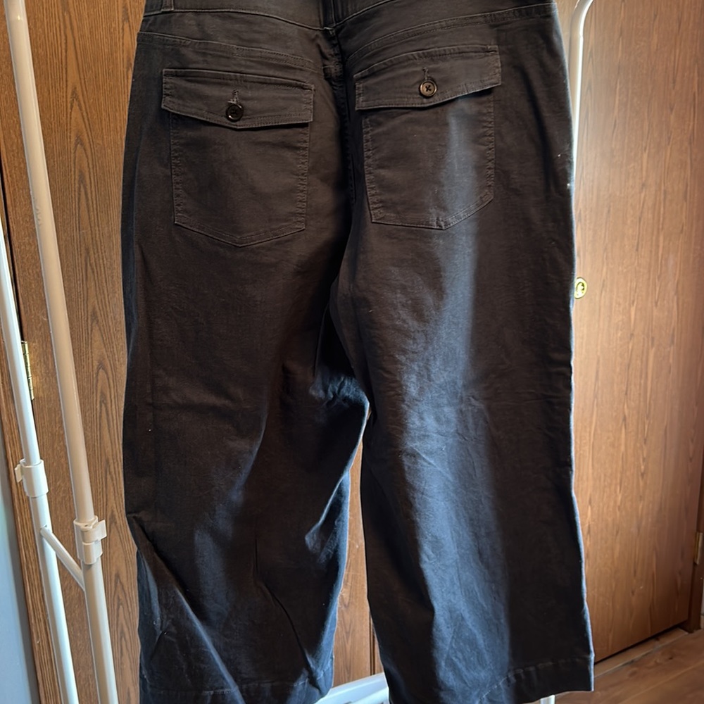 Pull On Capris - Picture 2 of 2
